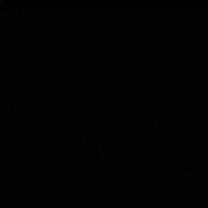 Meet your Posher, Sana